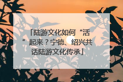 陆游文化如何“活 ”起来？宁德、绍兴共话陆游文化传承