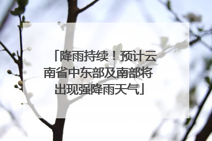 降雨持续！预计云南省中东部及南部将出现强降雨天气
