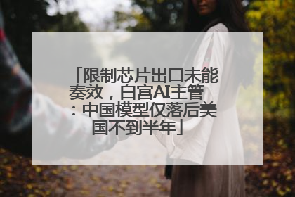 限制芯片出口未能奏效，白宫AI主管：中国模型仅落后美国不到半年
