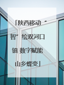 陕西移动“智”绘双河口镇 数字赋能山乡蝶变