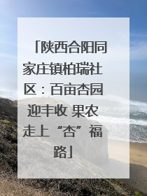 陕西合阳同家庄镇柏瑞社区：百亩杏园迎丰收 果农走上“杏”福路