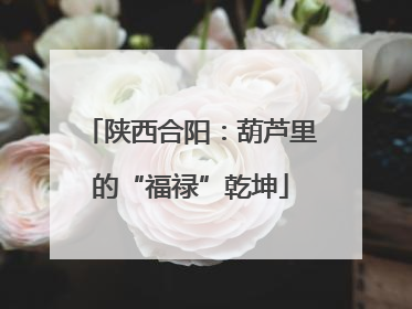 陕西合阳：葫芦里的“福禄”乾坤