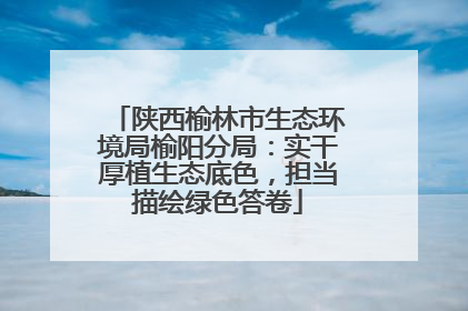 陕西榆林市生态环境局榆阳分局：实干厚植生态底色，担当描绘绿色答卷