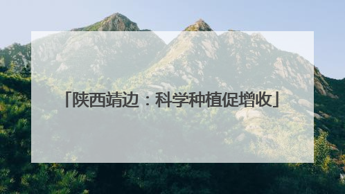 陕西靖边：科学种植促增收