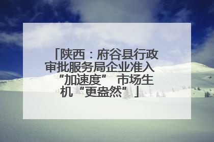 陕西：府谷县行政审批服务局企业准入“加速度” 市场生机“更盎然”