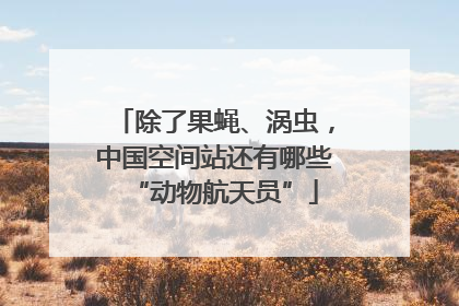 除了果蝇、涡虫，中国空间站还有哪些“动物航天员”
