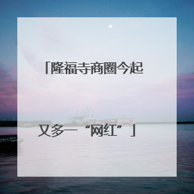 隆福寺商圈今起又多一“网红”