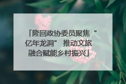 隆回政协委员聚焦“亿年龙洞” 推动文旅融合赋能乡村振兴