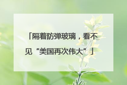 隔着防弹玻璃，看不见“美国再次伟大”