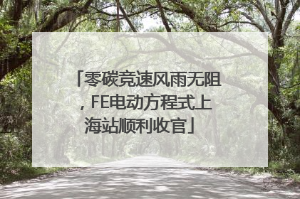 零碳竞速风雨无阻，FE电动方程式上海站顺利收官