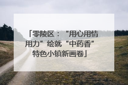 零陵区：“用心用情用力”绘就“中药香”特色小镇新画卷