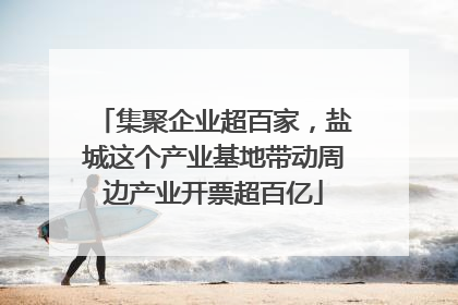 集聚企业超百家，盐城这个产业基地带动周边产业开票超百亿