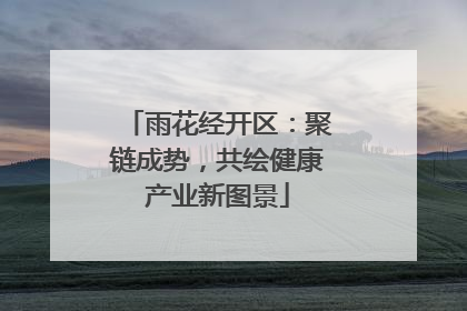 雨花经开区：聚链成势，共绘健康产业新图景