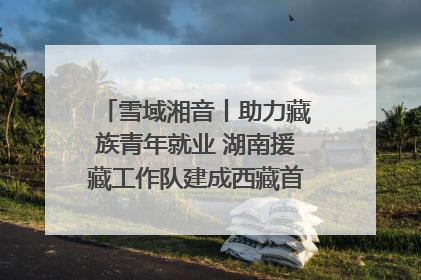 雪域湘音丨助力藏族青年就业 湖南援藏工作队建成西藏首个清洁能源装备园
