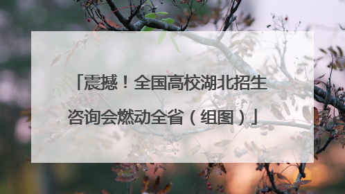 震撼！全国高校湖北招生咨询会燃动全省（组图）