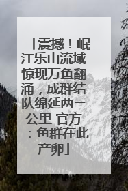 震撼！岷江乐山流域惊现万鱼翻涌，成群结队绵延两三公里 官方：鱼群在此产卵
