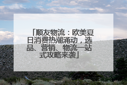 顺友物流：欧美夏日消费热潮涌动，选品、营销、物流一站式攻略来袭