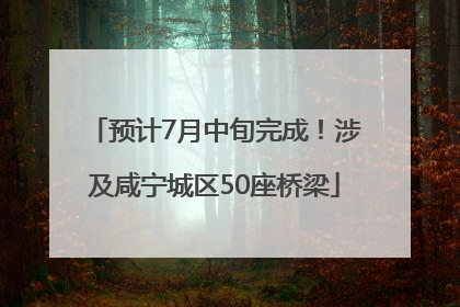 预计7月中旬完成！涉及咸宁城区50座桥梁