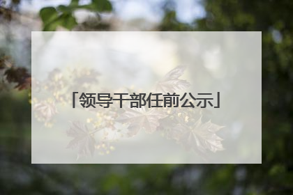 领导干部任前公示