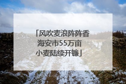 风吹麦浪阵阵香 海安市55万亩小麦陆续开镰