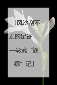 风沙刮不走的足迹——彰武“逐绿”记