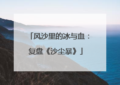 风沙里的冰与血：复盘《沙尘暴》