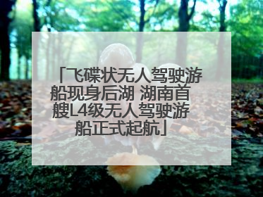 飞碟状无人驾驶游船现身后湖 湖南首艘L4级无人驾驶游船正式起航