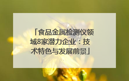 食品金属检测仪领域8家潜力企业：技术特色与发展前景
