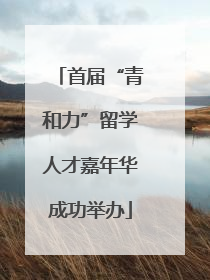 首届“青和力”留学人才嘉年华成功举办