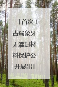 首次！古蜀象牙无灌封材料保护公开展出