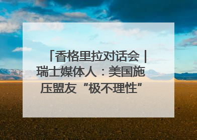 香格里拉对话会｜瑞士媒体人：美国施压盟友“极不理性” 欧洲国家无意与中国“脱钩断链”