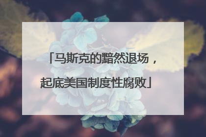 马斯克的黯然退场，起底美国制度性腐败