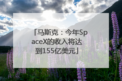 马斯克：今年SpaceX的收入将达到155亿美元