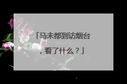 马未都到访烟台，看了什么？