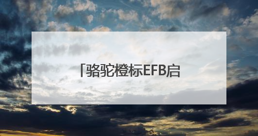 骆驼橙标EFB启停电池：引领高性价比启停电池新选择