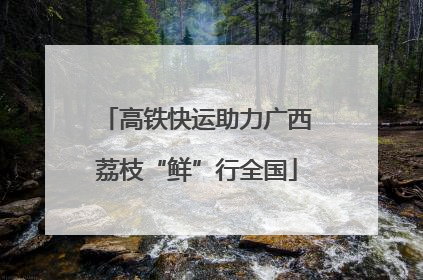 高铁快运助力广西荔枝“鲜”行全国