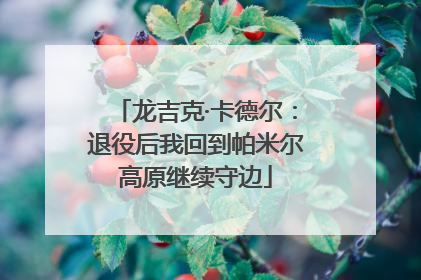 龙吉克·卡德尔：退役后我回到帕米尔高原继续守边