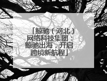 鲸驰（河北）网络科技集团：鲸驰出海，开启跨境新航程
