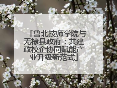 鲁北技师学院与无棣县政府：共建政校企协同赋能产业升级新范式
