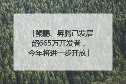 鲲鹏、昇腾已发展超665万开发者，今年将进一步开放
