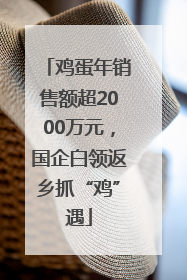 鸡蛋年销售额超2000万元，国企白领返乡抓“鸡”遇