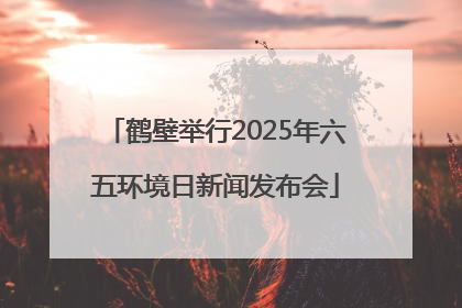 鹤壁举行2025年六五环境日新闻发布会