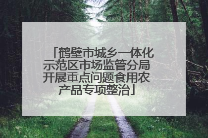 鹤壁市城乡一体化示范区市场监管分局开展重点问题食用农产品专项整治