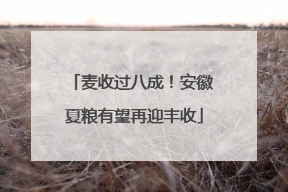麦收过八成！安徽夏粮有望再迎丰收
