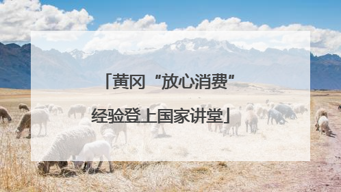 黄冈“放心消费”经验登上国家讲堂