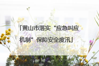 黄山市落实“应急叫应机制”保障安全度汛