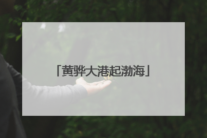 黄骅大港起渤海