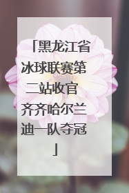 黑龙江省冰球联赛第二站收官 齐齐哈尔兰迪一队夺冠
