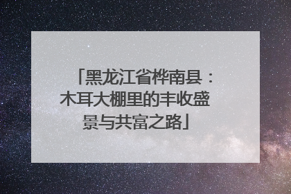 黑龙江省桦南县：木耳大棚里的丰收盛景与共富之路