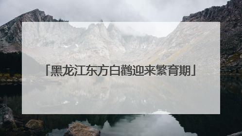 黑龙江东方白鹳迎来繁育期